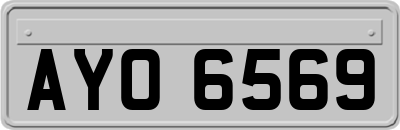 AYO6569