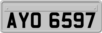 AYO6597