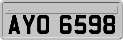 AYO6598