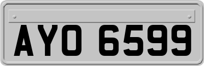 AYO6599