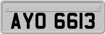 AYO6613