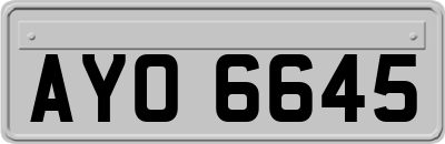 AYO6645