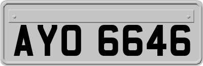AYO6646