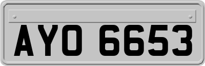 AYO6653