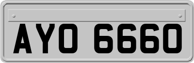 AYO6660