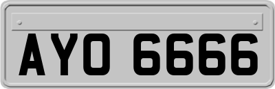 AYO6666