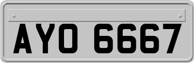 AYO6667