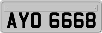 AYO6668