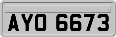 AYO6673