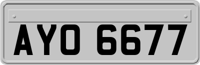 AYO6677