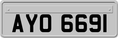 AYO6691