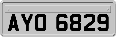 AYO6829