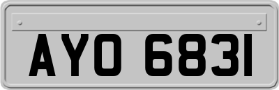AYO6831