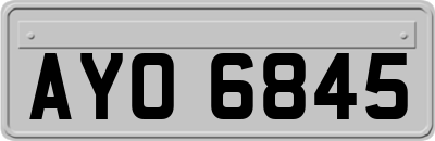 AYO6845