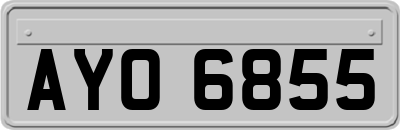AYO6855