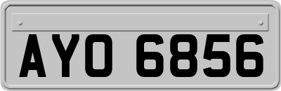 AYO6856
