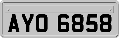 AYO6858
