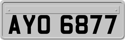 AYO6877