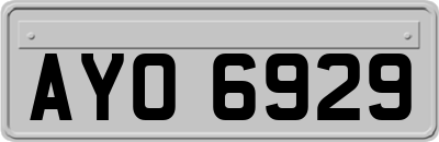 AYO6929