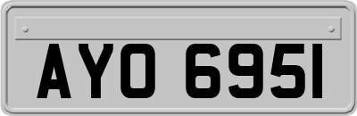 AYO6951