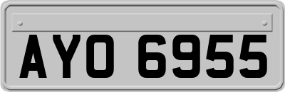 AYO6955