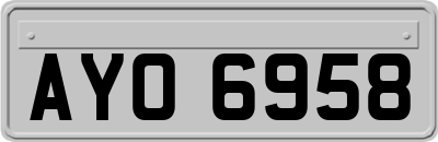 AYO6958