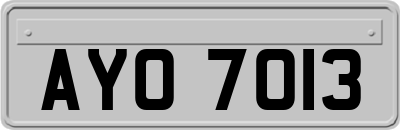 AYO7013