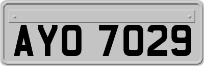 AYO7029