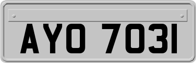 AYO7031