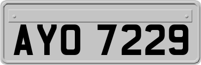 AYO7229