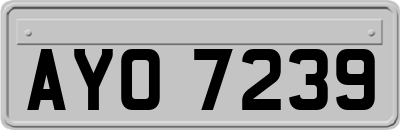 AYO7239