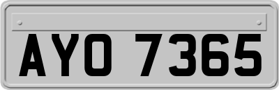 AYO7365