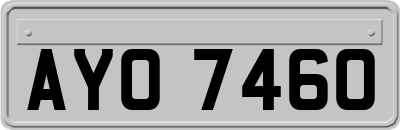 AYO7460