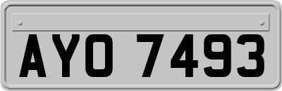 AYO7493