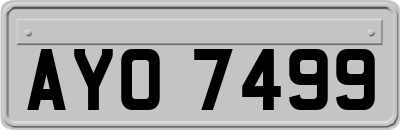 AYO7499
