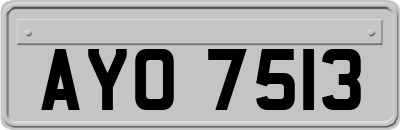 AYO7513