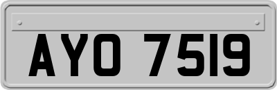 AYO7519