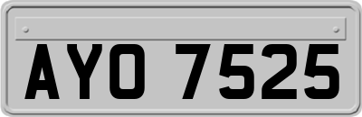 AYO7525