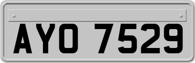 AYO7529