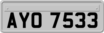 AYO7533