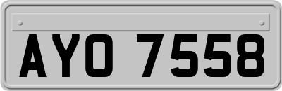 AYO7558
