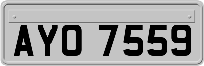 AYO7559