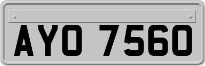 AYO7560
