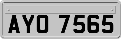 AYO7565