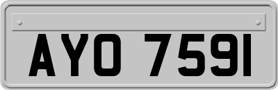 AYO7591