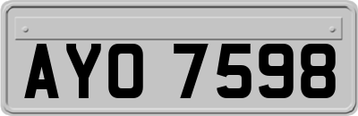 AYO7598