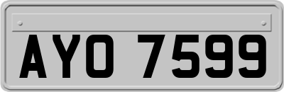 AYO7599
