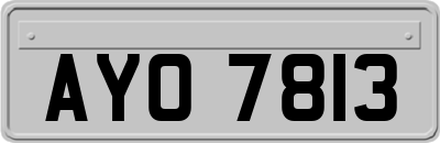 AYO7813