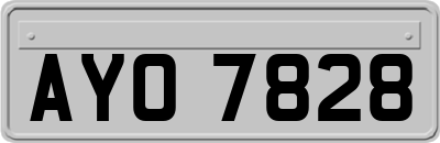 AYO7828
