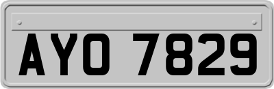 AYO7829